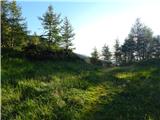 End of road on Pokljuka - Viševnik